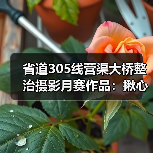 省道305线营渠大桥整治摄影月赛作品：揪心桥变安心路