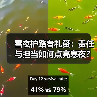 雪夜护路者礼赞：责任与担当如何点亮寒夜？