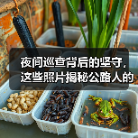 夜间巡查背后的坚守，这些照片揭秘公路人的深夜工作（图2）