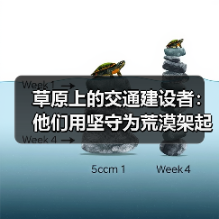 草原上的交通建设者：他们用坚守为荒漠架起桥梁