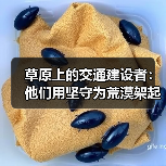 草原上的交通建设者：他们用坚守为荒漠架起桥梁（图3）