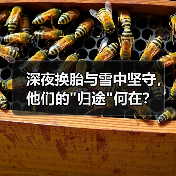 深夜换胎与雪中坚守，他们的