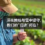 深夜换胎与雪中坚守，他们的