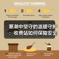 寒潮中坚守的温暖守护：收费站如何保障安全通行？（图3）