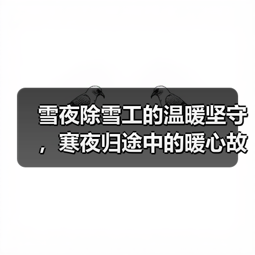雪夜除雪工的温暖坚守，寒夜归途中的暖心故事（图2）