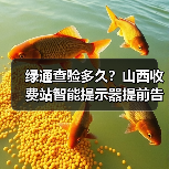 绿通查验多久？山西收费站智能提示器提前告知（图2）