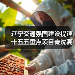 辽宁交通强国建设提速 十五五重点项目秦沈高速二期开工（图2）