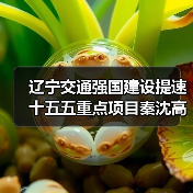 辽宁交通强国建设提速 十五五重点项目秦沈高速二期开工（图3）