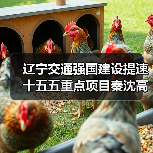 辽宁交通强国建设提速 十五五重点项目秦沈高速二期开工