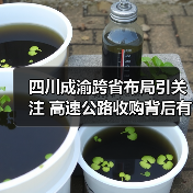 四川成渝跨省布局引关注 高速公路收购背后有何战略意图？（图3）