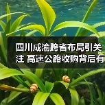 四川成渝跨省布局引关注 高速公路收购背后有何战略意图？（图4）