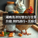 湖南高速智慧出行全面升级 预约通行+无感支付提升20%效率（图3）