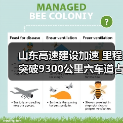山东高速建设加速 里程突破9300公里六车道占比超40%