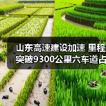 山东高速建设加速 里程突破9300公里六车道占比超40%（图2）