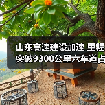 山东高速建设加速 里程突破9300公里六车道占比超40%（图3）