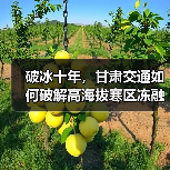 破冰十年，甘肃交通如何破解高海拔寒区冻融难题？（图4）