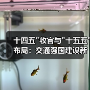 十四五