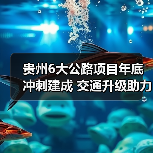 贵州6大公路项目年底冲刺建成 交通升级助力建设（图4）