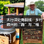 太行深处南新线：乡村振兴的“路”与“福（图3）