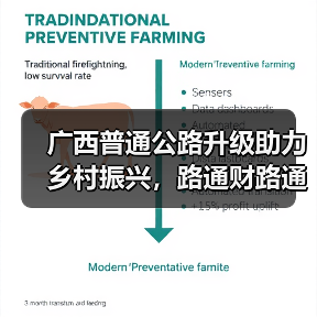 广西普通公路升级助力乡村振兴，路通财路通（图2）