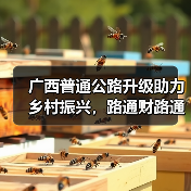 广西普通公路升级助力乡村振兴，路通财路通