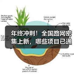 年终冲刺！全国路网密集上新，哪些项目已通车？（图3）