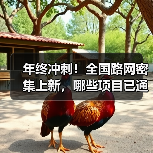 年终冲刺！全国路网密集上新，哪些项目已通车？