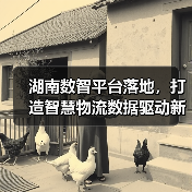 湖南数智平台落地，打造智慧物流数据驱动新标杆（图4）