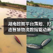 湖南数智平台落地，打造智慧物流数据驱动新标杆