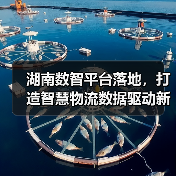 湖南数智平台落地，打造智慧物流数据驱动新标杆（图2）