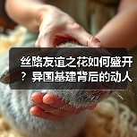 丝路友谊之花如何盛开？异国基建背后的动人故事（图3）
