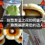 丝路友谊之花如何盛开？异国基建背后的动人故事
