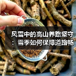 风雪中的高山养路坚守：雪季如何保障道路畅通？（图3）