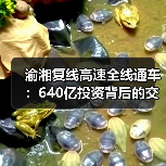 渝湘复线高速全线通车：640亿投资背后的交通变革（图4）