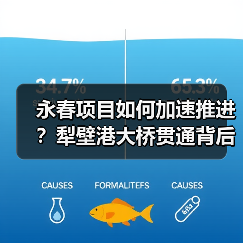 永春项目如何加速推进？犁壁港大桥贯通背后有何深意？（图3）
