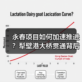 永春项目如何加速推进？犁壁港大桥贯通背后有何深意？（图4）