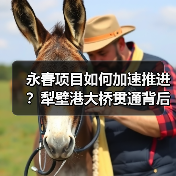 永春项目如何加速推进？犁壁港大桥贯通背后有何深意？