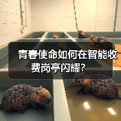 青春使命如何在智能收费岗亭闪耀？（图2）