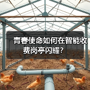 青春使命如何在智能收费岗亭闪耀？（图4）