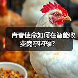 青春使命如何在智能收费岗亭闪耀？（图3）