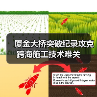厦金大桥突破纪录攻克跨海施工技术难关（图1）