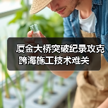 厦金大桥突破纪录攻克跨海施工技术难关（图4）