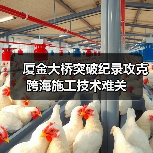 厦金大桥突破纪录攻克跨海施工技术难关（图2）