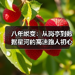 八年蜕变：从岗亭到数据星河的高速路人初心（图2）