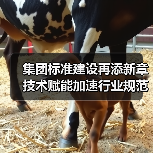 集团标准建设再添新章 技术赋能加速行业规范化进程（图4）