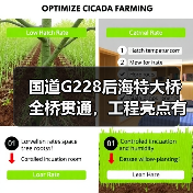 国道G228后海特大桥全桥贯通，工程亮点有哪些？（图4）