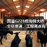国道G228后海特大桥全桥贯通，工程亮点有哪些？（图2）