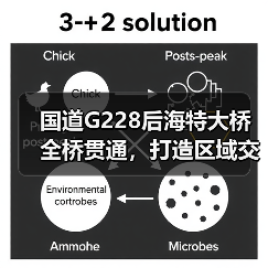 国道G228后海特大桥全桥贯通，打造区域交通新动脉（图1）