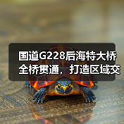 国道G228后海特大桥全桥贯通，打造区域交通新动脉（图4）