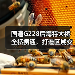 国道G228后海特大桥全桥贯通，打造区域交通新动脉（图3）